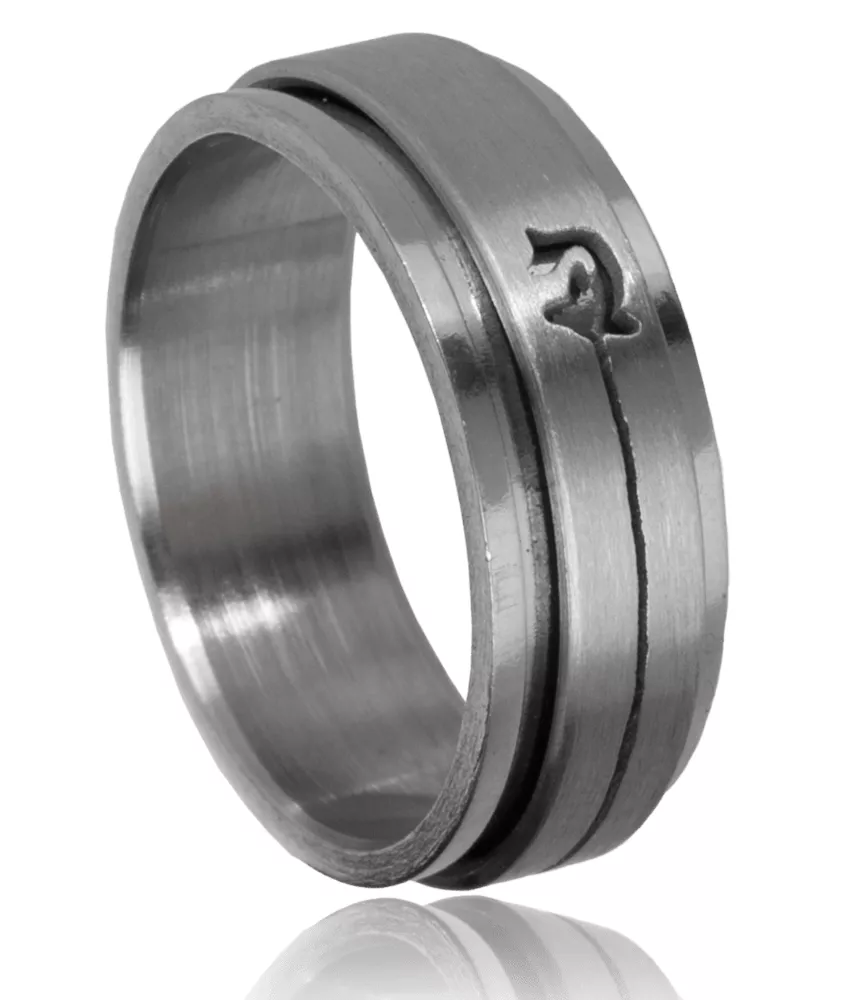 Bague homme anti-stress Ghollamallah dauphin Animal - Bague en Acier - Bijoux en Vogue