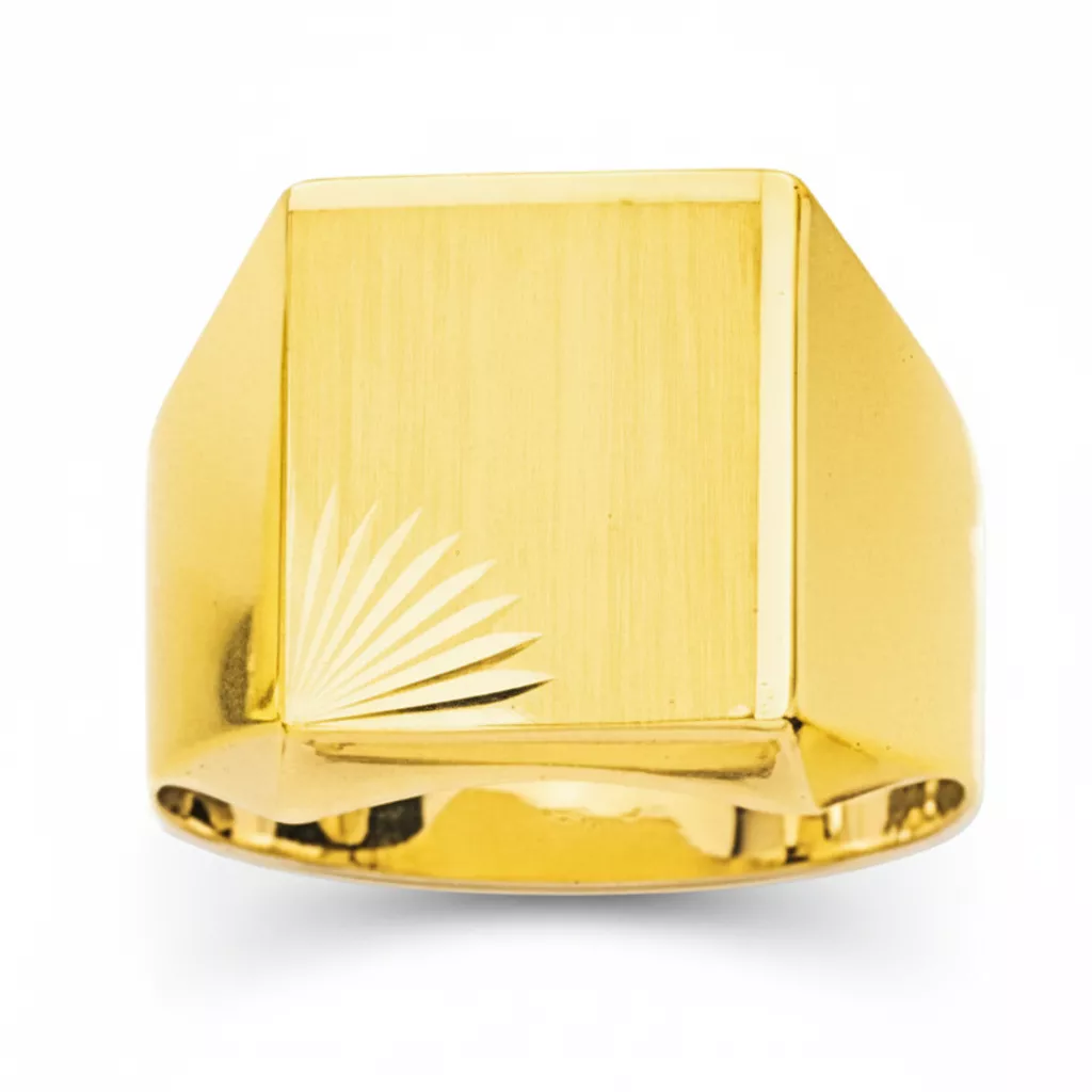 Chevalière Homme Or Ekladous - Bague en Or 750 18k