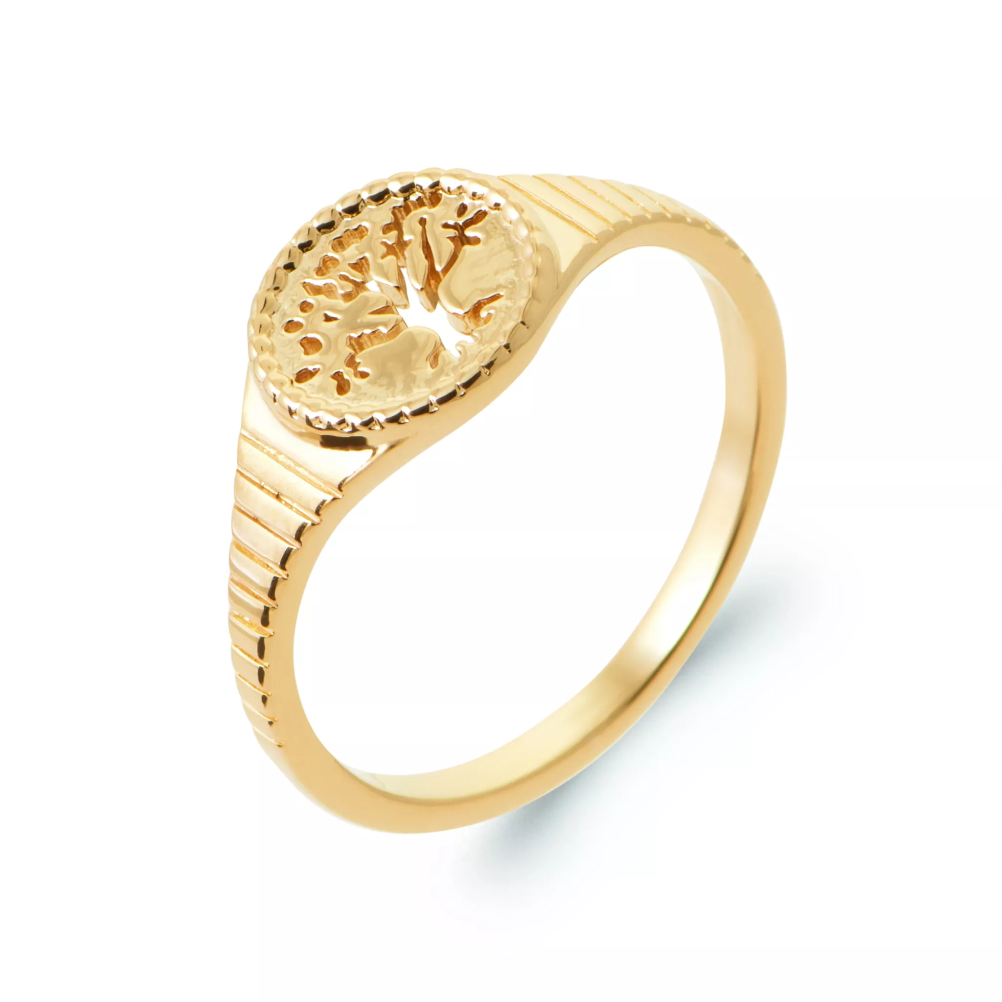 Chevalière Plaqué Or Karyna Végétal - Bague en Plaqué or - Bijoux en Vogue