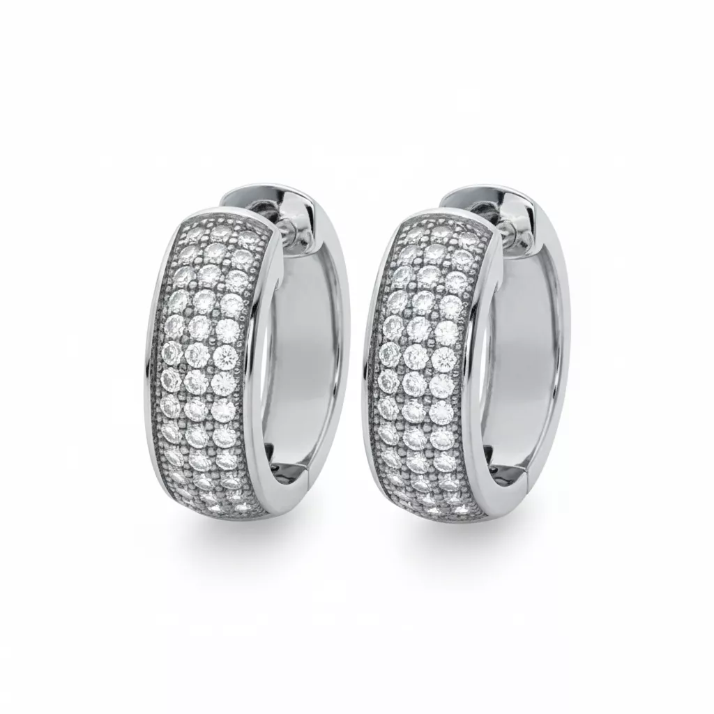 Boucles d'oreilles Créoles Argent Delasie Zirconium - Boucles d'oreilles en Argent 925