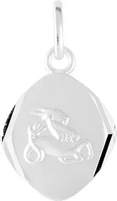 Pendentif Médaille Argent Capricorne - Pendentif en Argent 925