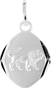 Pendentif Médaille Argent Lion - Pendentif en Argent 925 - Bijoux en Vogue