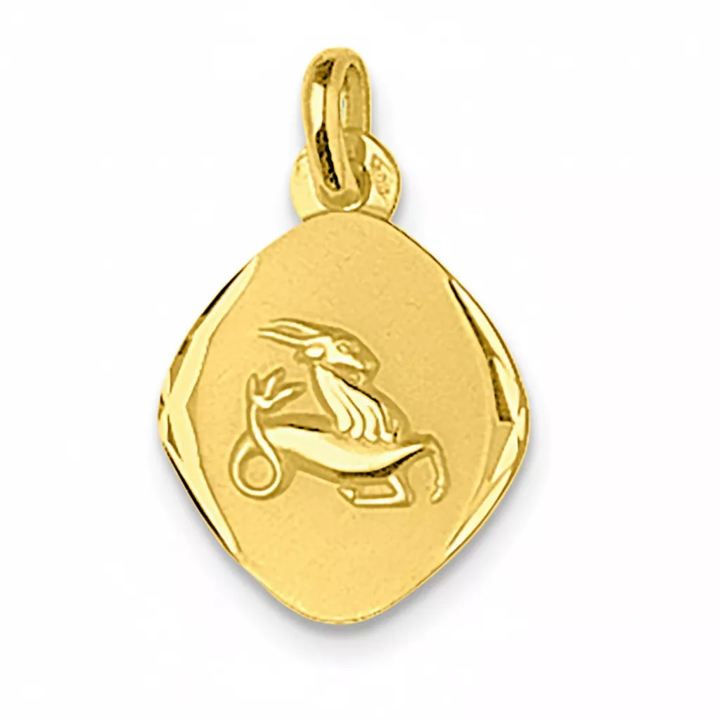 Pendentif Médaille Or Capricorne - Pendentif en Or 750 18k - Bijoux en Vogue